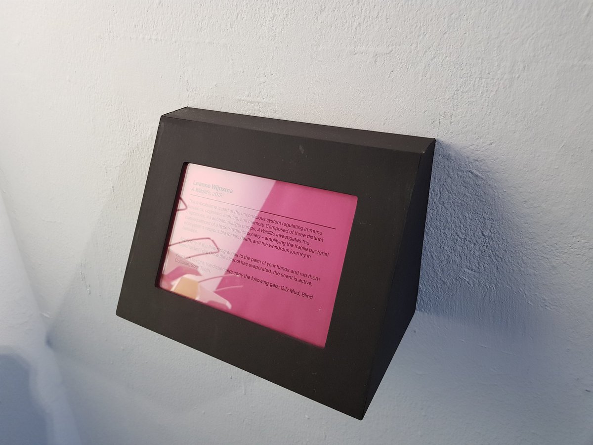 Roze infodisplay in zwarte kubus