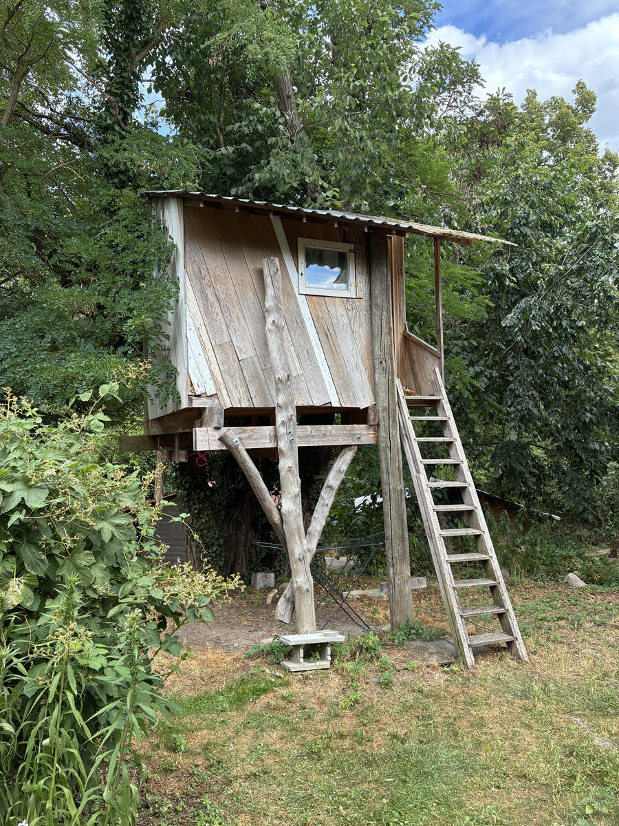 Boomhut van eikenhouten planken met golfplaten dak tussen de bomen
