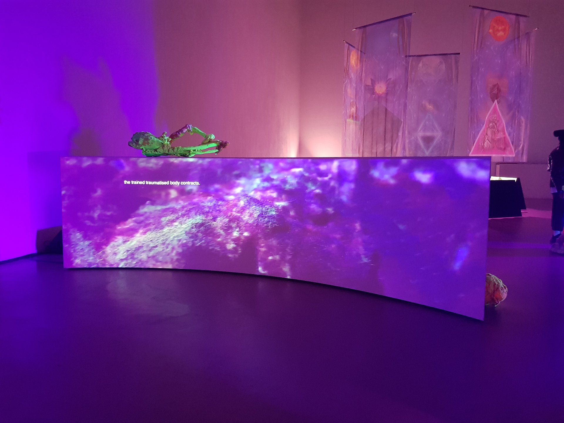 Gebogen projectiewand met paarse video in een tentoonstellingsruimte